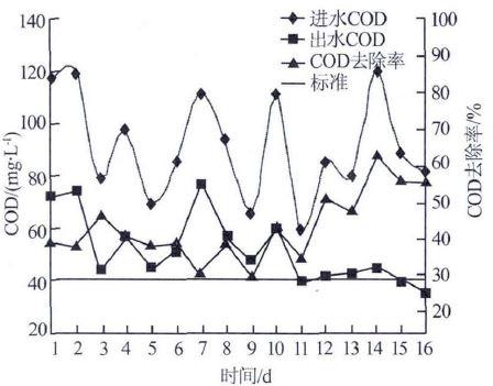 二沉池出水COD 的去除效果.jpg