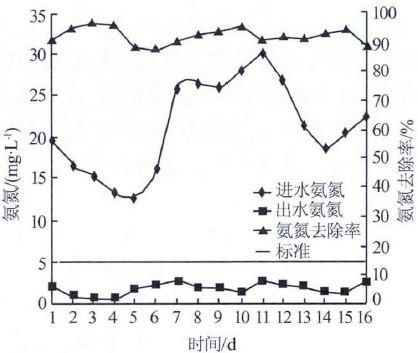 標定階段氨氮處理效果.jpg